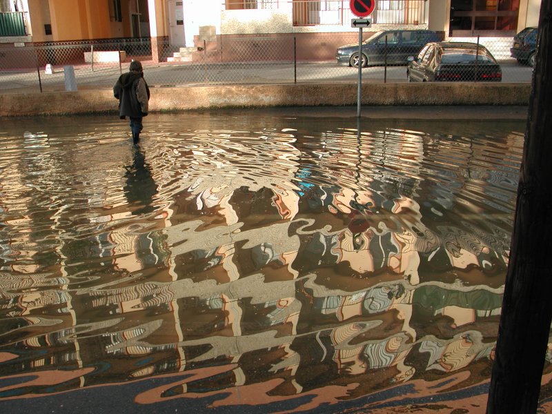 reflets_inondation.jpg